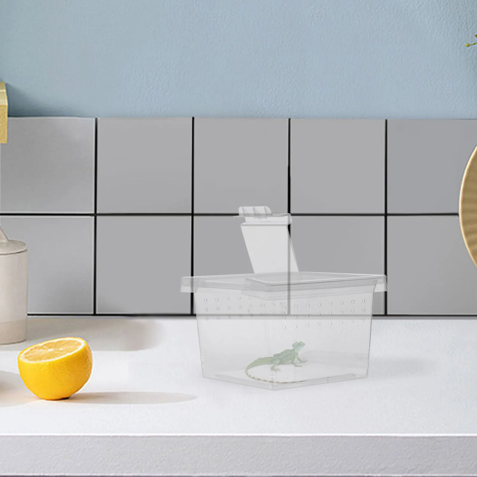 

20pcs Insect Feeding Box Transparent Portable Breathing Design Observation Container For Spider Tarantula Gecko Snail Habitat