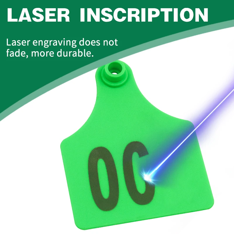 100 Buah Tanda Tag Telinga Tebal Sapi Ternak dengan Tanda Kata Anting Kepala Tembaga Kartu Identifikasi Hewan Ternak 001-100