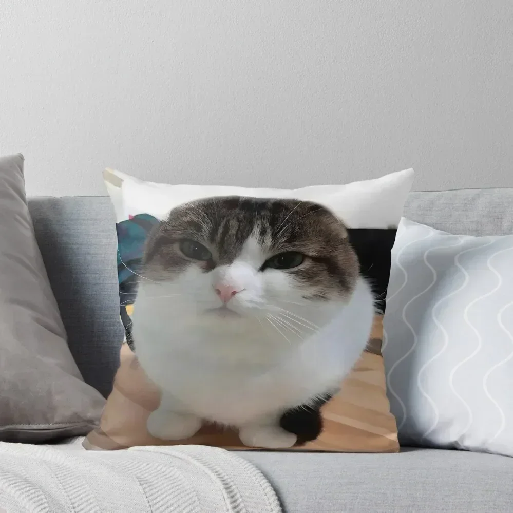Oh The Misery Cat Throw Pillow Ornamental Pillow luxury decor Sofa Covers For Living Room pillow
