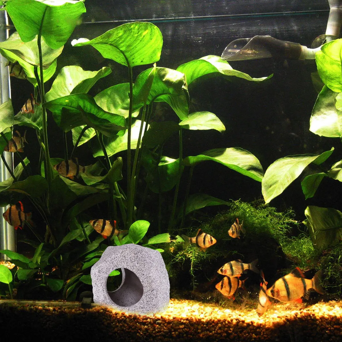 

1Pcs Aquarium Hiding Cave for Shrimp Fish Tank Decor Resin Habitat Prop Exquisite Bright Color Easy to Use Modern City Nature