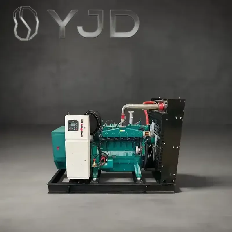 Natural Biogas LPG Biomass Syngas Powered 30-1000 KW AC Three Phase Generators Water Cooling Remote CHP/Parallel