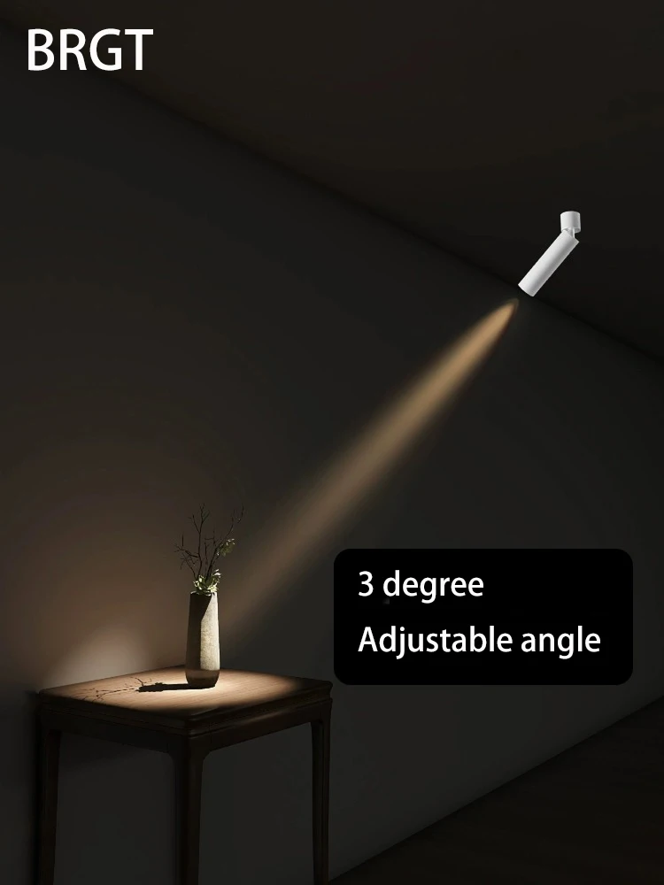 LED Spotlight 3 Degree Surface Mounted Small Beam Angle Spot Light Art Atmosphere Lamp Museum Artistic Adjustable Angle Foco