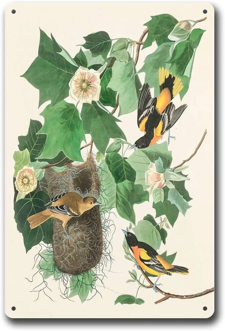 علامات القصدير المعدنية بالتيمور أوريول العتيقة الطيور جدار الفن الديكور الطيور علامات معدنية تين تسجيل