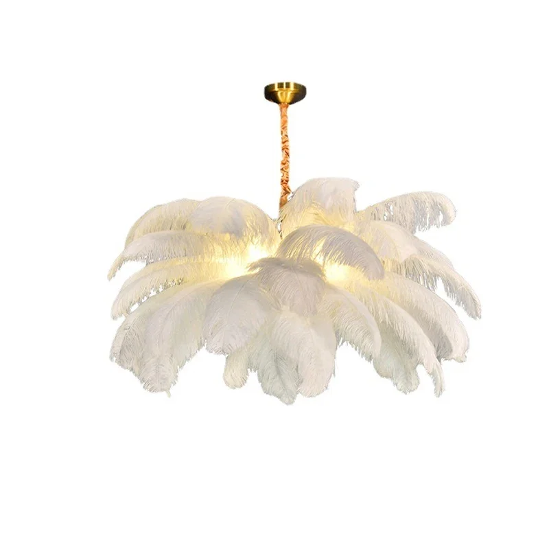 Imagem -06 - Nordic Ostrich Feather Chandelier Lamp Luzes Led Pendant Iluminação Interior Pendurado Luz Luminária Home Decor Sala de Estar Quarto