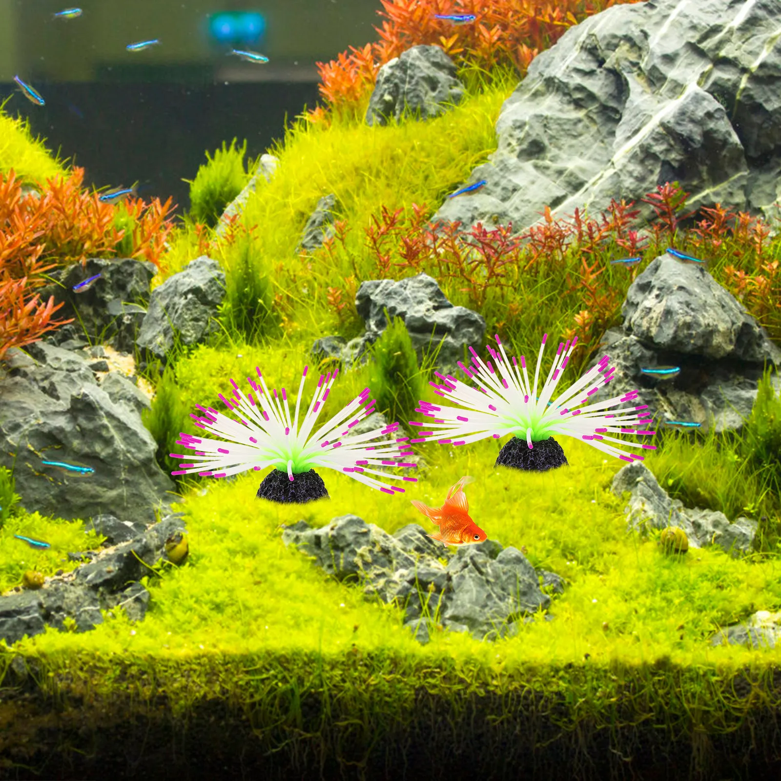 

Искусственный декор для аквариума: имитация морского ежа, светящаяся водная трава из силикона для оформления аквариума