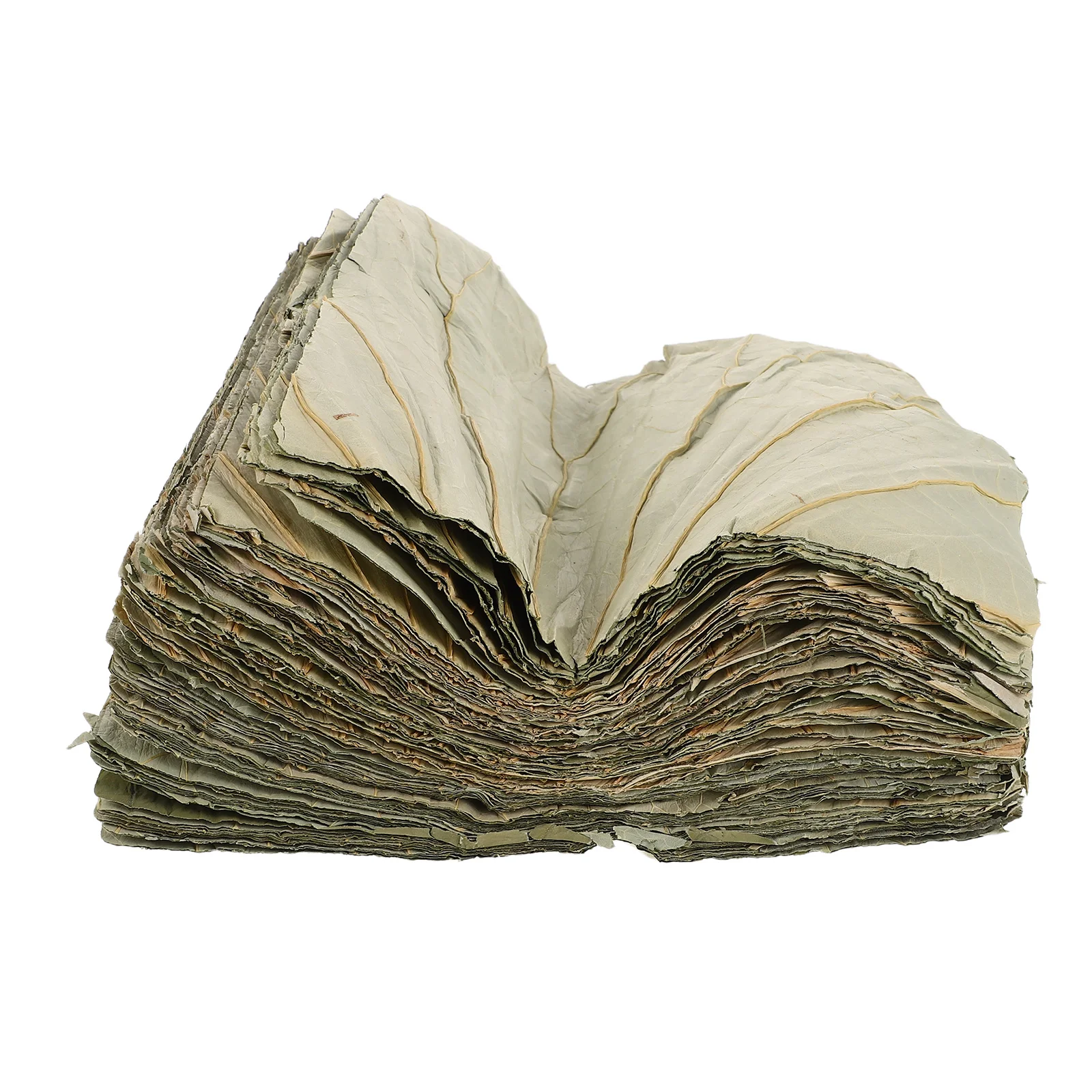 

100Pcs Natural Lotus Leaf Sheets Sushi Plate Liner Food Packaging Leaves Elegant Buffet Presentation Dim Sum Wrappers