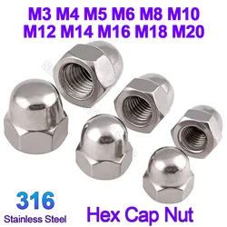 2-20pcs DIN1587 Acorn Nut 316 Stainless Steel Hex Cap Nut Blind Domed Nuts For Decrotive M3 M4 M5 M6 M8 M10 M12 M14 M16 M18 M20