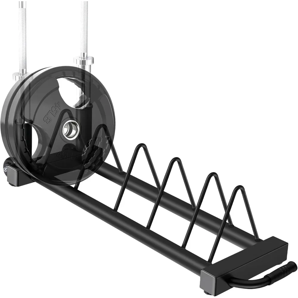

Horizontal/Vertical Weights Plates Rack, Weight Storage Rack with Barbell Bumper Weights Plates Holder for 2-Inch Weight