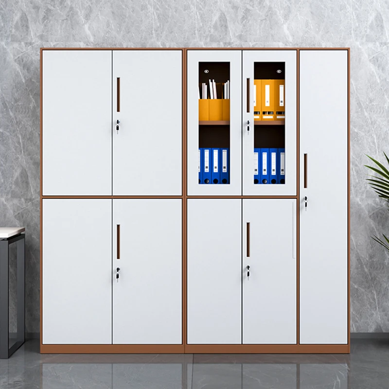 2 Door Metal Vertical Filing Cabinet for Office and School, Steel Storage Filing Closet