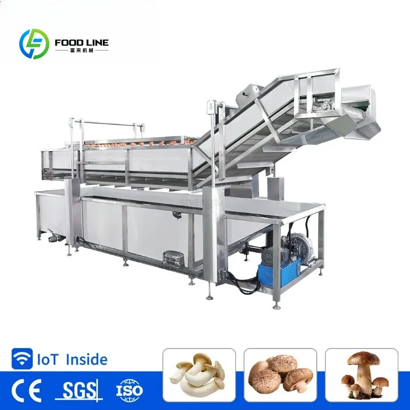 Customized Multi-Purpose Fruit and Vegetable Washer with Grain and Seafood Cleaning Capabilities