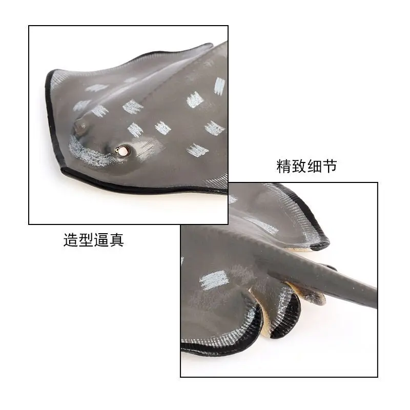 محاكاة نماذج للحيوانات البحرية مخلوقات أرضية البحر، أشعة اللدغة، اللدغة، لعبة الأشعة المعرفية للتعليم المبكر للأطفال