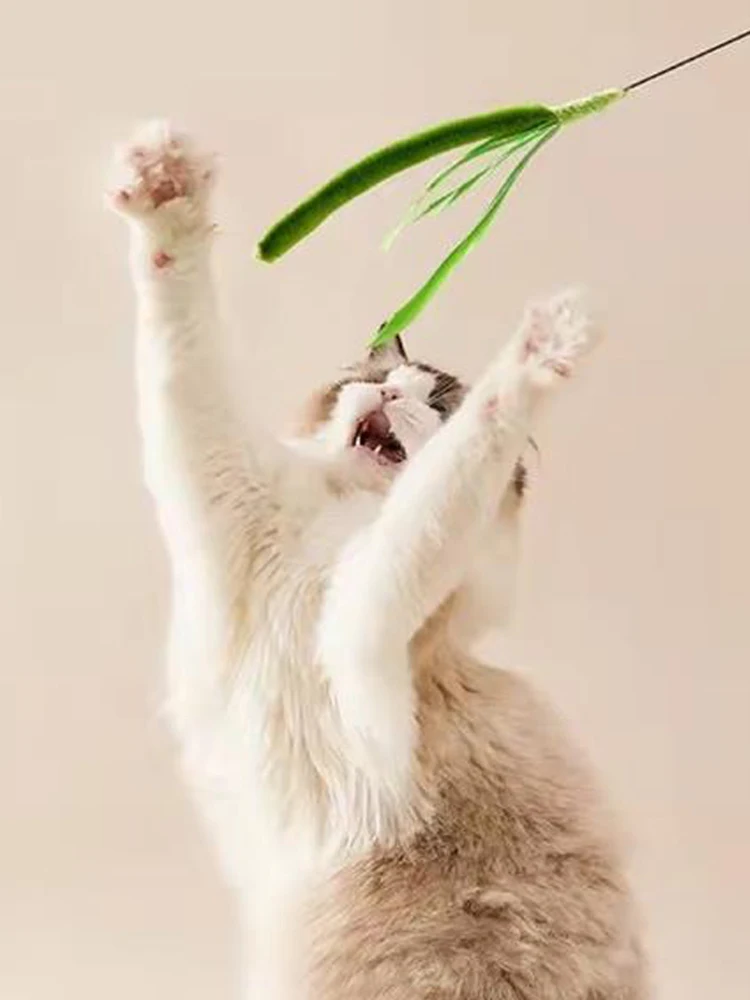 Neue Katzenspielzeuge, Hundeschwanz-Gras, Katzenangel mit Federn, Draht-Katzenspielzeug, Federangel, flexibler Draht, langlebiges Haustierzubehör – Detail 6