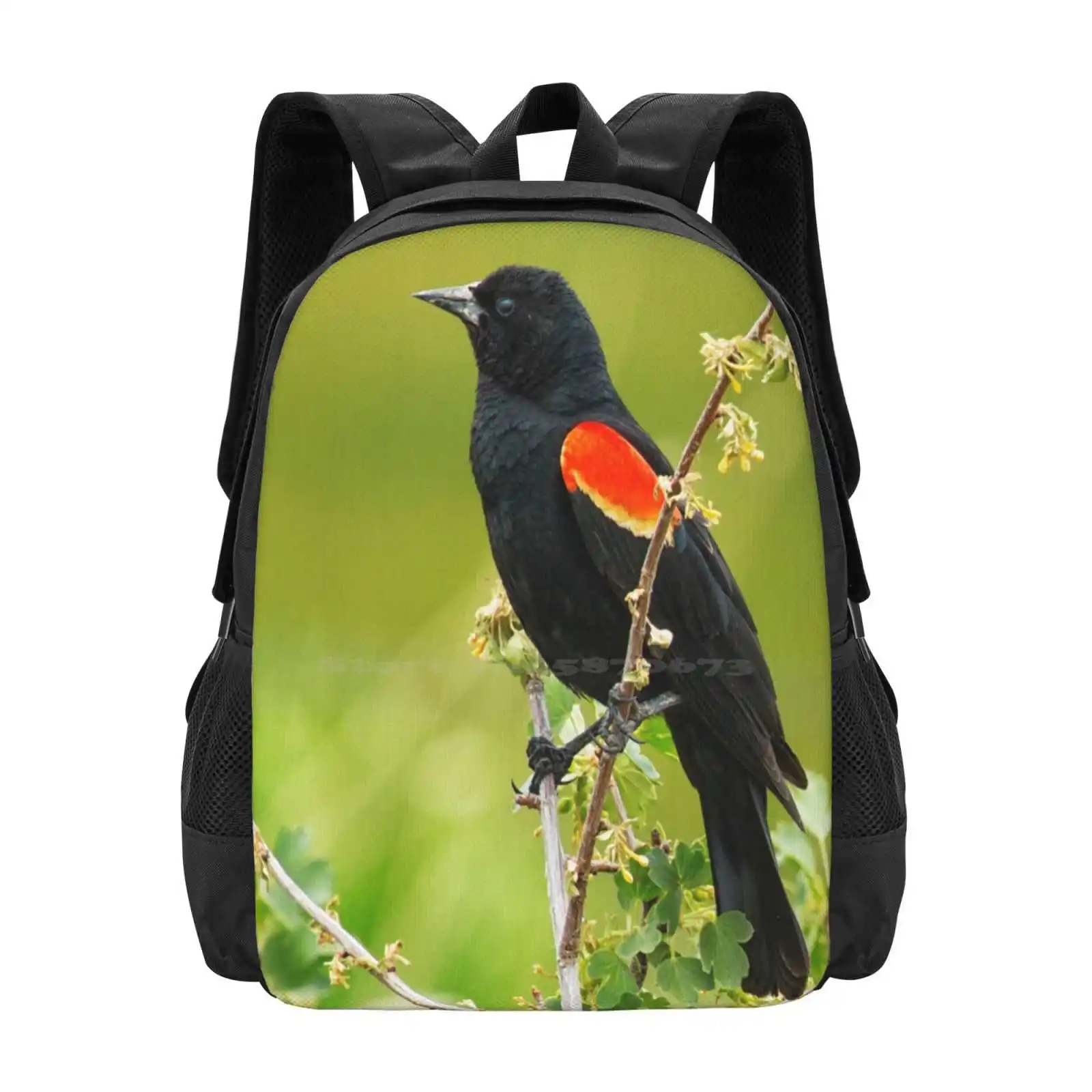 Male Red-Winged Blackbird School Bag Big Capacity Backpack Laptop Blackbird Birds Birdwatching Nature Marsh Bird Animal Avian