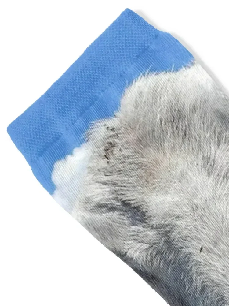 goat kisses, goat tongue Socks anti slip football basketball christmass gift Children's Ladies Socks Men's