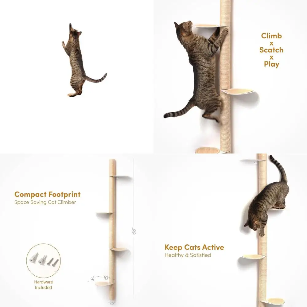 

Компактная настенная когтеточка с сизалевым столбом и стальными ступеньками для стильных небольших помещений