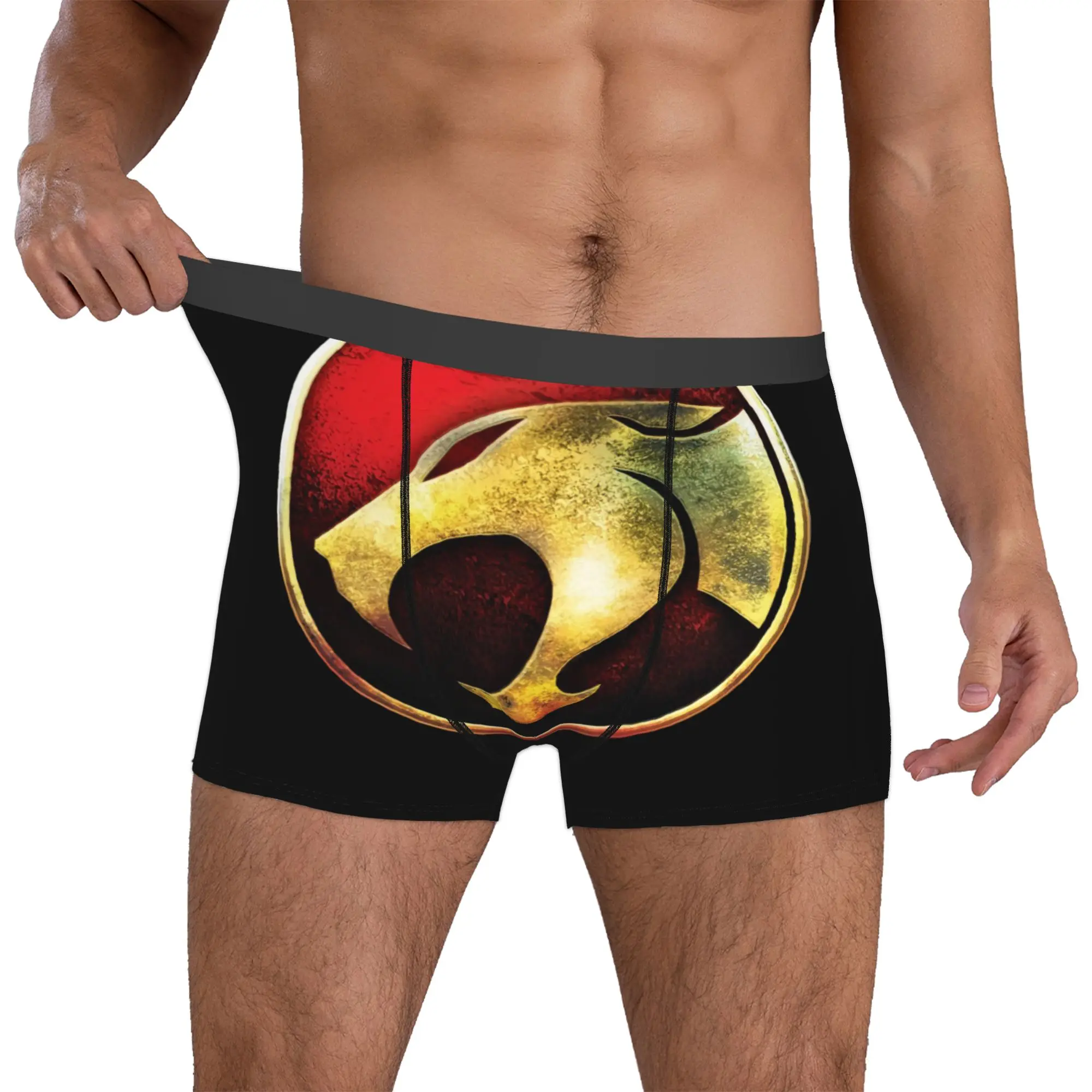 Thundercats Boxers Shorts Mens HiMan Cheetara Briefs Underwear Funny Underpants