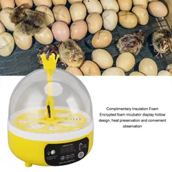 Mini Egg Incubator for Home Automatic Temperature Humidity Control 4 Eggs Candler Poultry Hatching Machine for Chickens Ducks