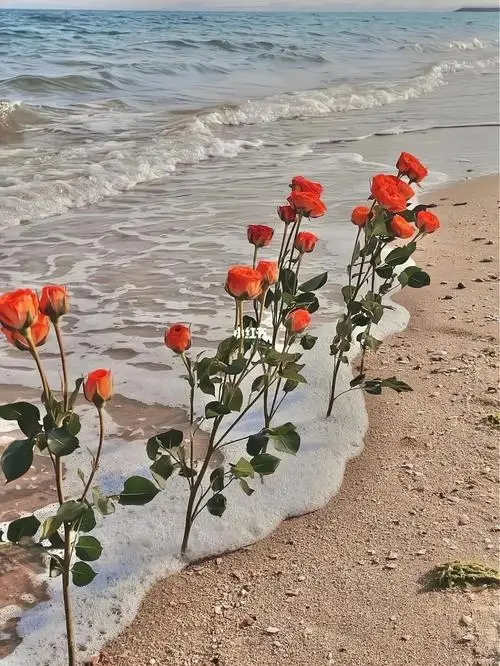 

RC Short Course Truck Wheels 12 17mm Hex for 1/8 1/10 Scale RC Car Truck Monster ARRMA Trxs Slash HPI VKAR Redcat HSP LRP