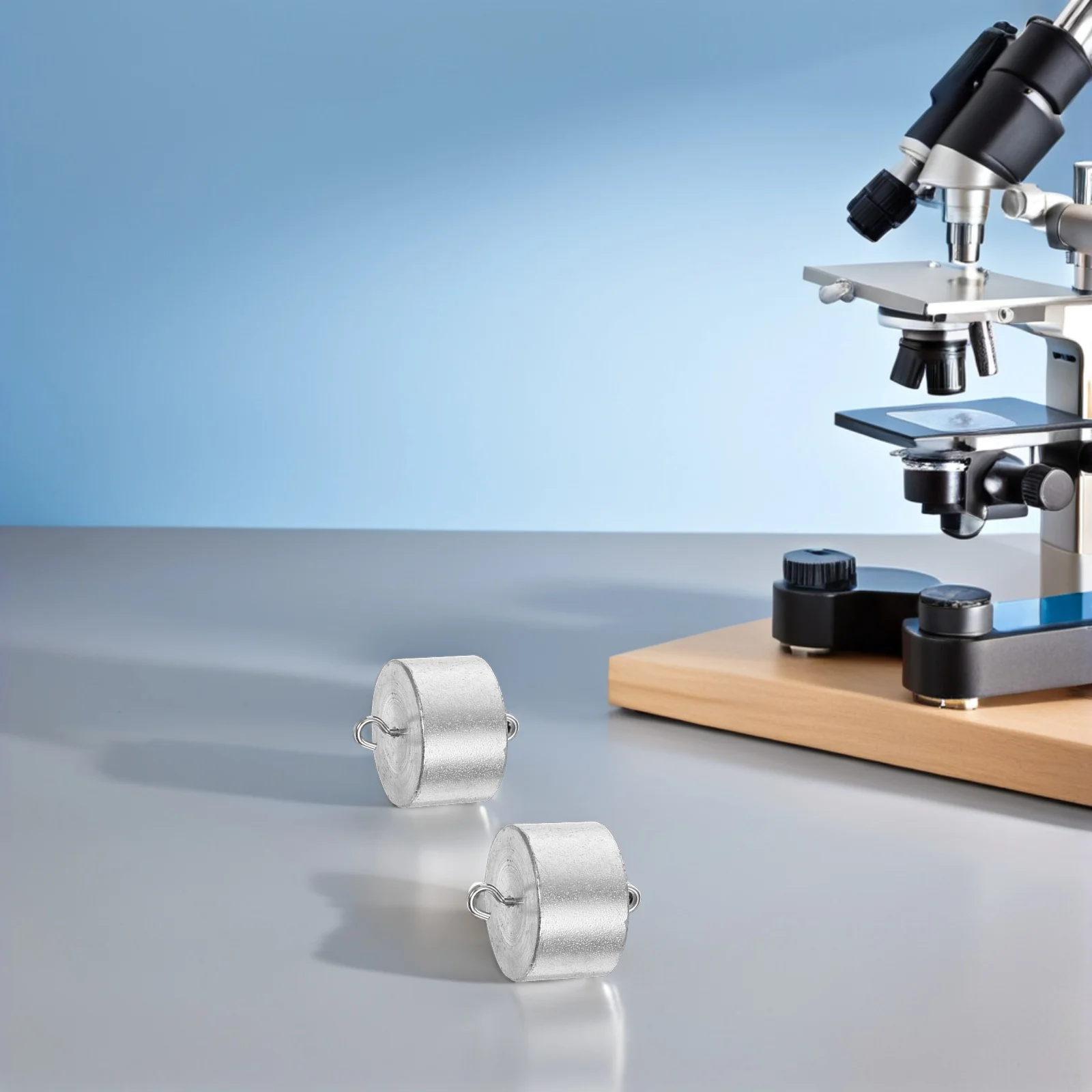 

4pcs Laboratory Weight Set 100G Each Iron Double Hooked Calibration Weights For School Science Experiments Balance Scale