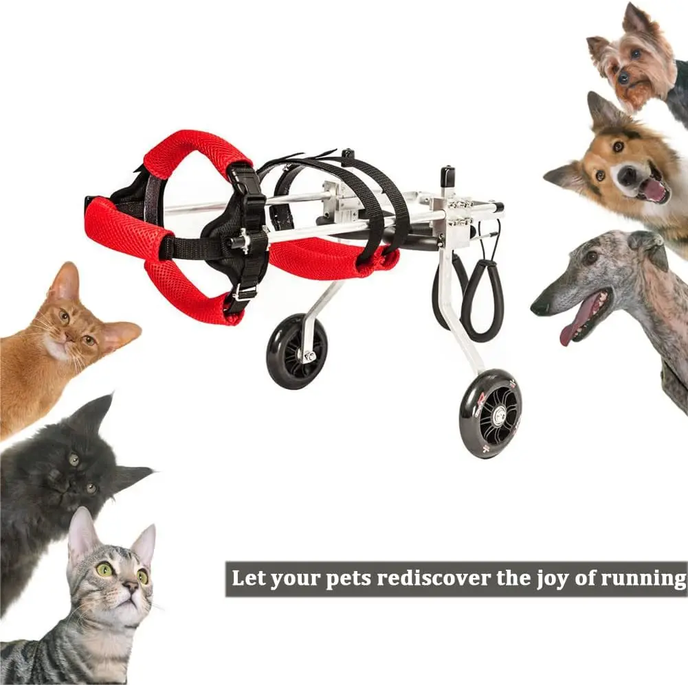 Pet Wheelchair Rehabilitation of Hindlimb Paralysis Small Dog Transport Disabled Car Pet Moped