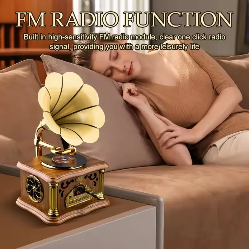 Vintage Gramophone Detail 1