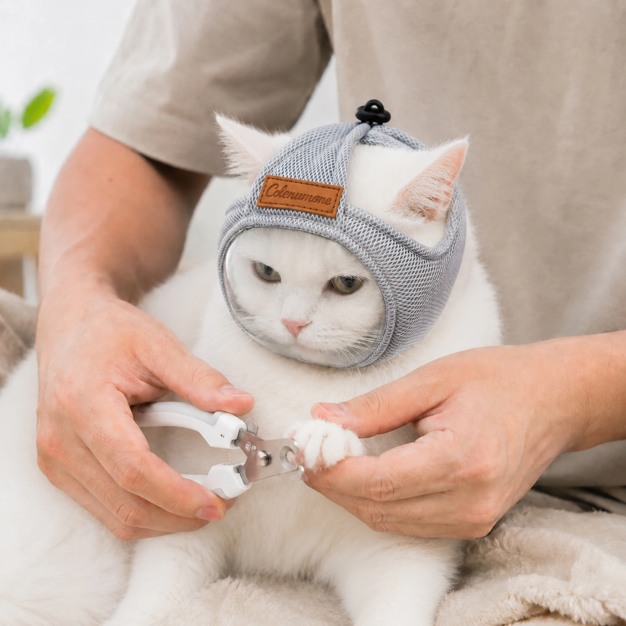New Cat Mask Breathable Cat Ho - đánh giá và giá Hair Spa Wellness