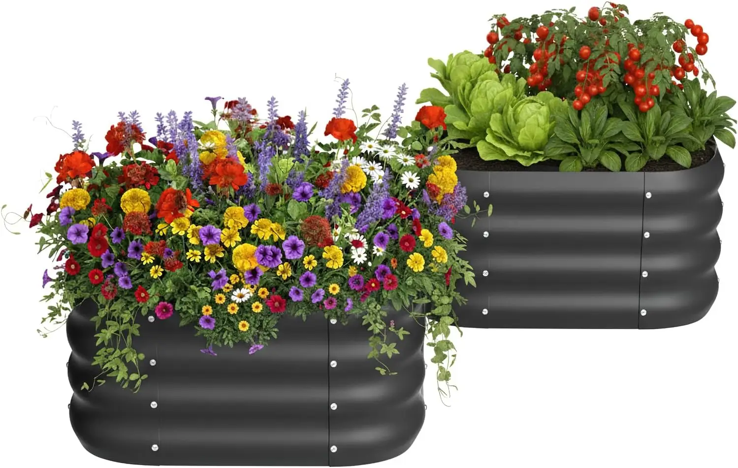 

2-Pack Galvanized Raised Garden Beds, Metal Planter Boxes for Outdoor Gardening, Square Black Design