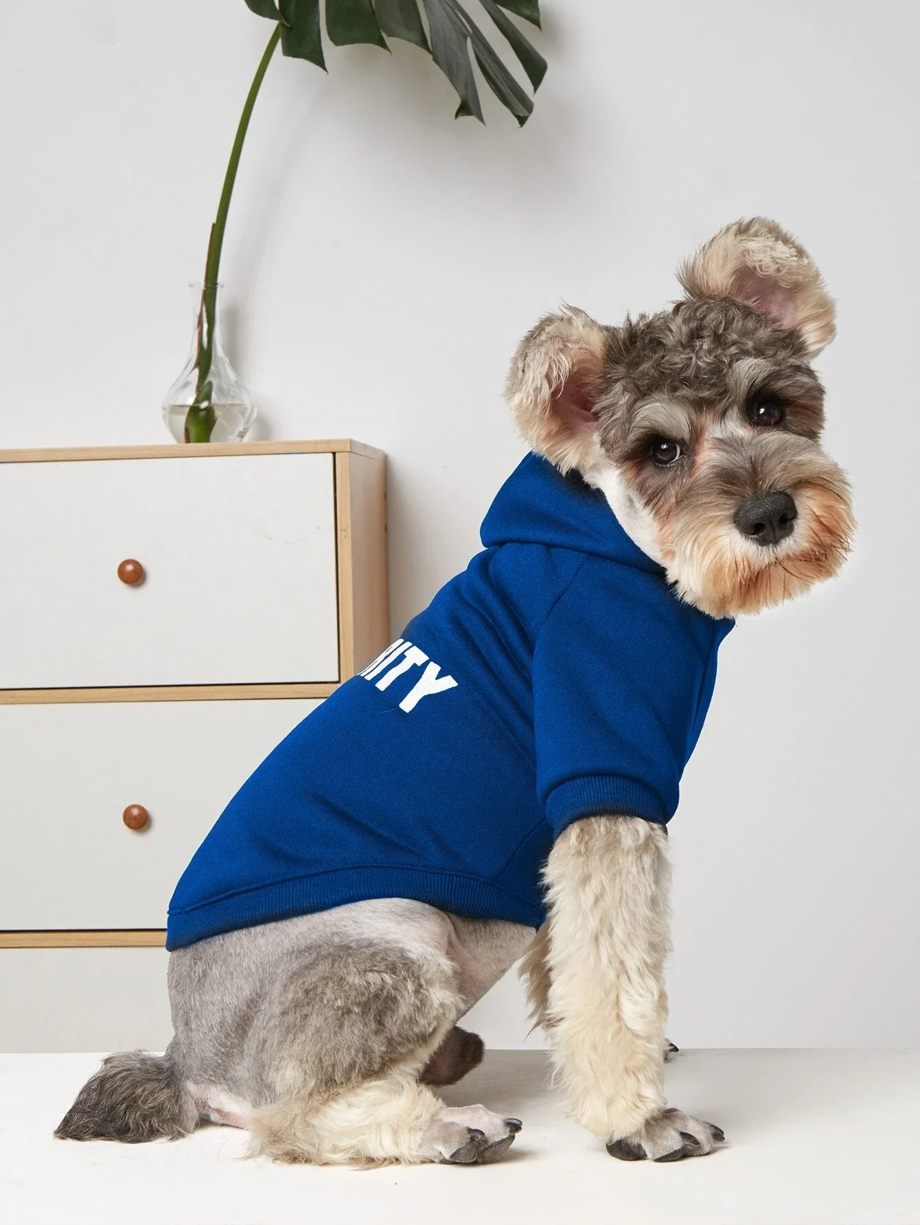 

1pc Letter Graphic Pet Hoodie