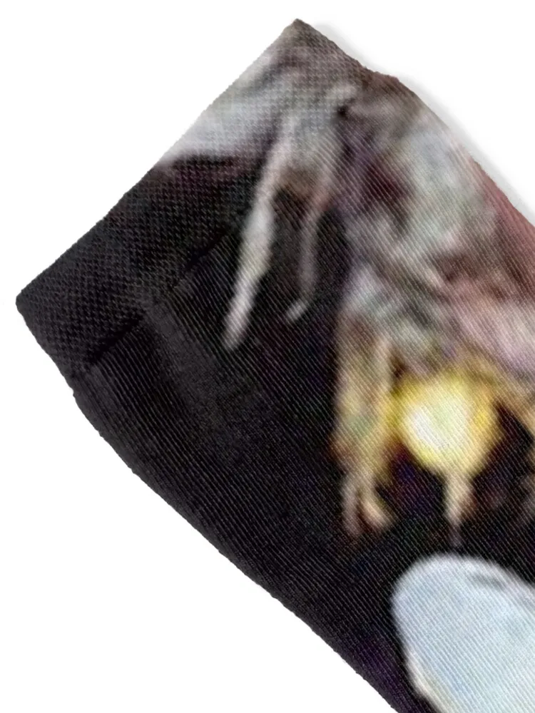 weird ass pic of jimmy urine Pullover Hoodie Socks