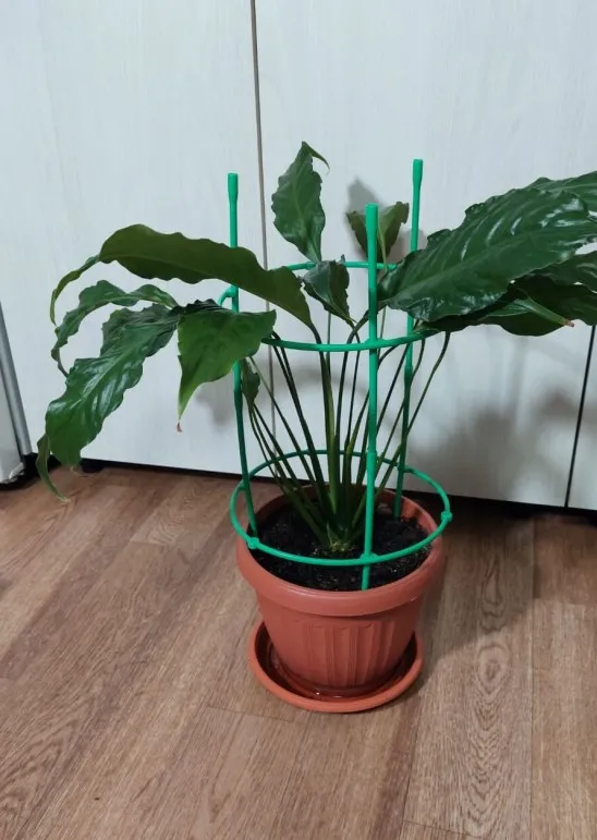 Modular Plastic Plant Support Frame for Tomato and Climbing Plants - 36cm Height x 17.5cm Diameter - Green ABS