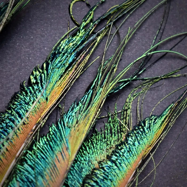 10 pçs plumas de pavão 30-35cm penas naturais para diy artesanato jóias fazendo casamento casa decoração do hotel uso