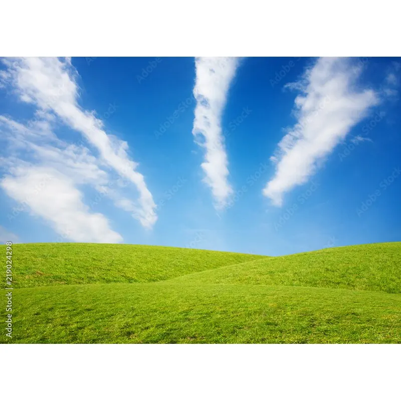 Puntelli di fotografia di paesaggio naturale erba verde e cielo blu con nuvole bianche sfondo fotografico puntelli da Studio 211223 KKLL-03