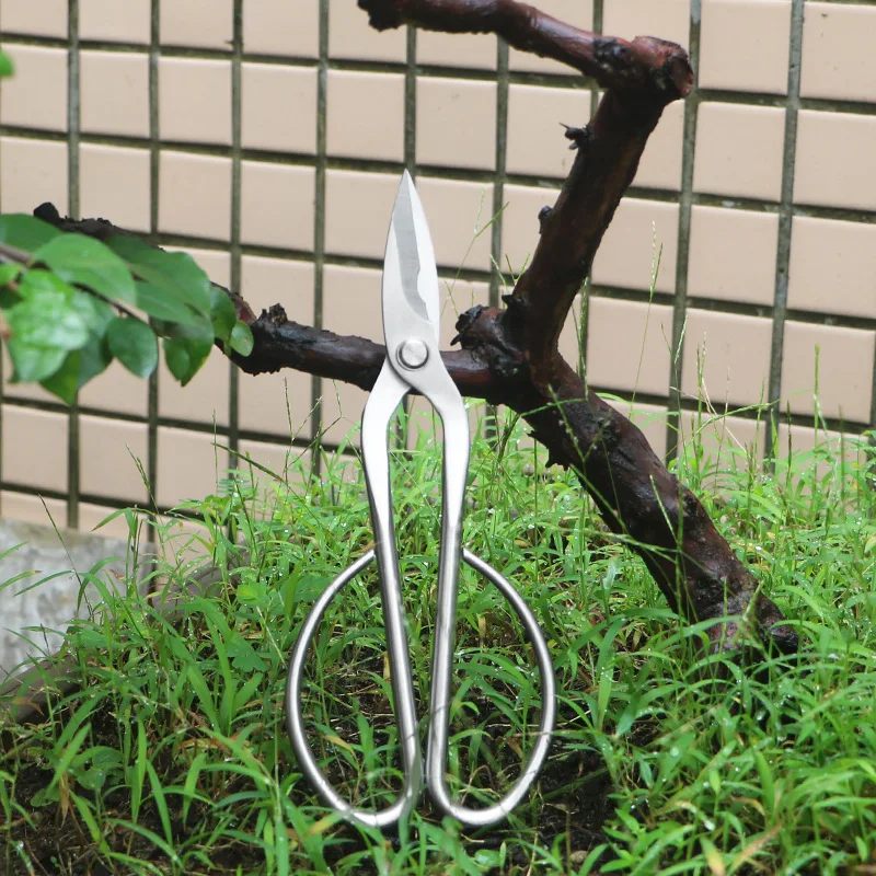 

All-steel garden shears, foliage, sprouts, flower shears, household flower bonsai shears, foliage, leaf shoot shears