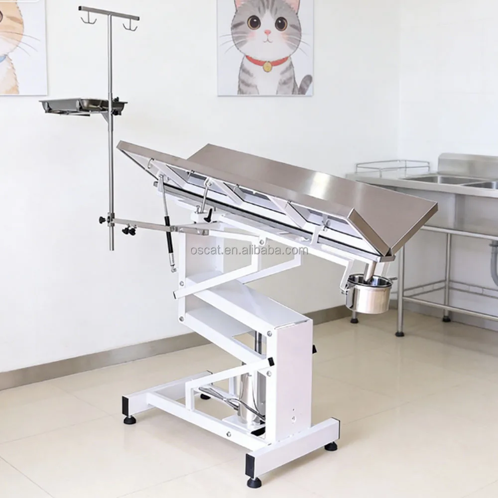 Pet Medical Equipment Hydraulic Grooming Table V Top Stainless Steel Veterinary Examination Table With Wheels