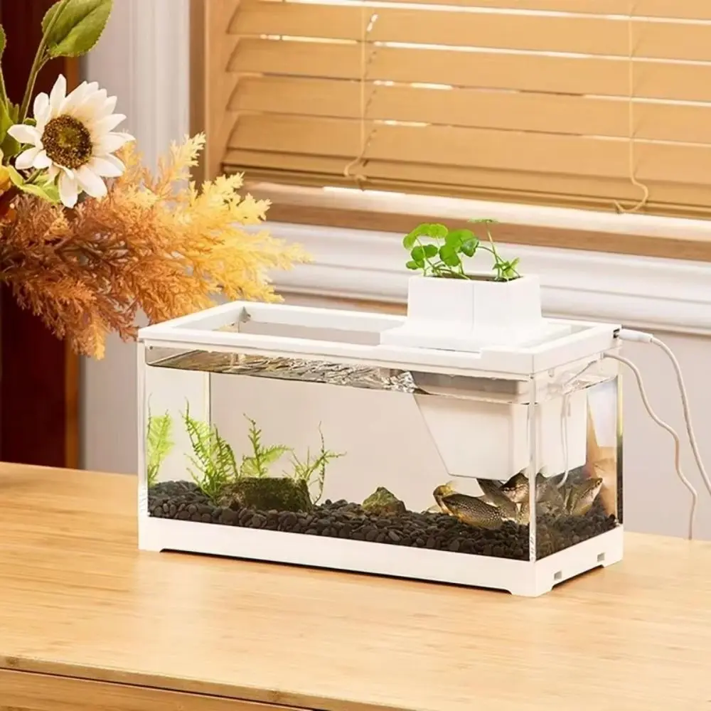 

With LED Light Mini Desktop Fish Tank with Water Pump Silent Aquarium Fish Box Filtering Planting Space
