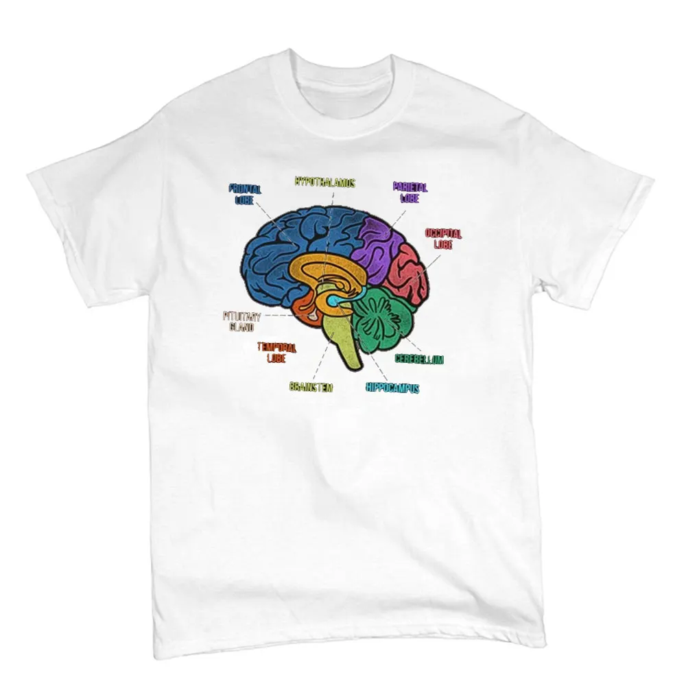 Funny Part of The Brain Color Chart High Quality T-shirt Neurology Print Harajuku Unisex Summer Short Sleeve Gift Tshirt Tops