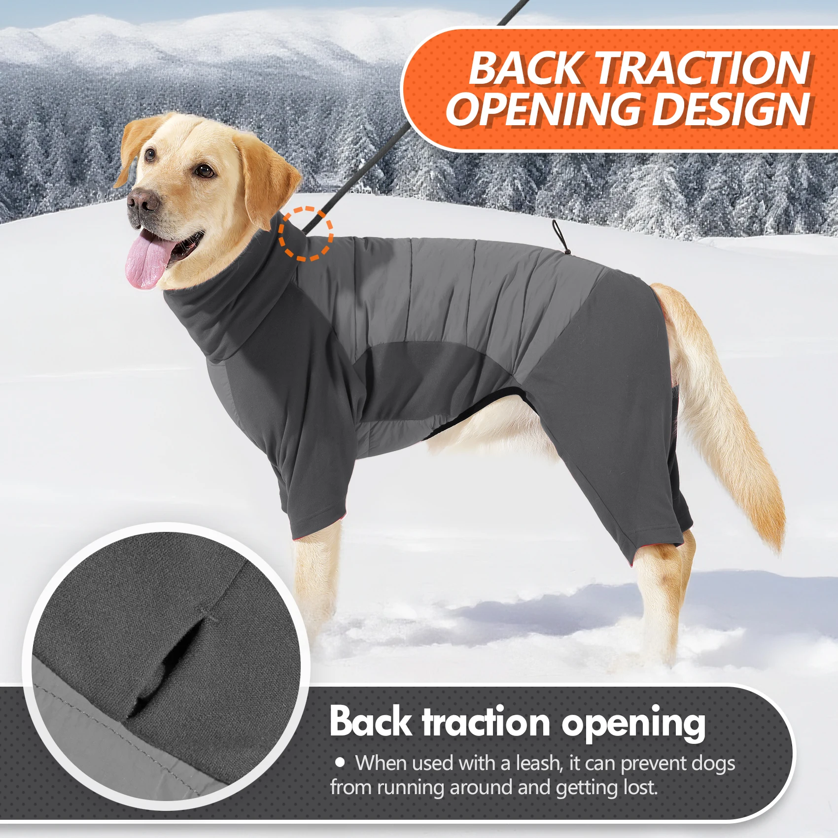 Thumbnail 4 - #73 Cheap Dog Coats Worth Buying