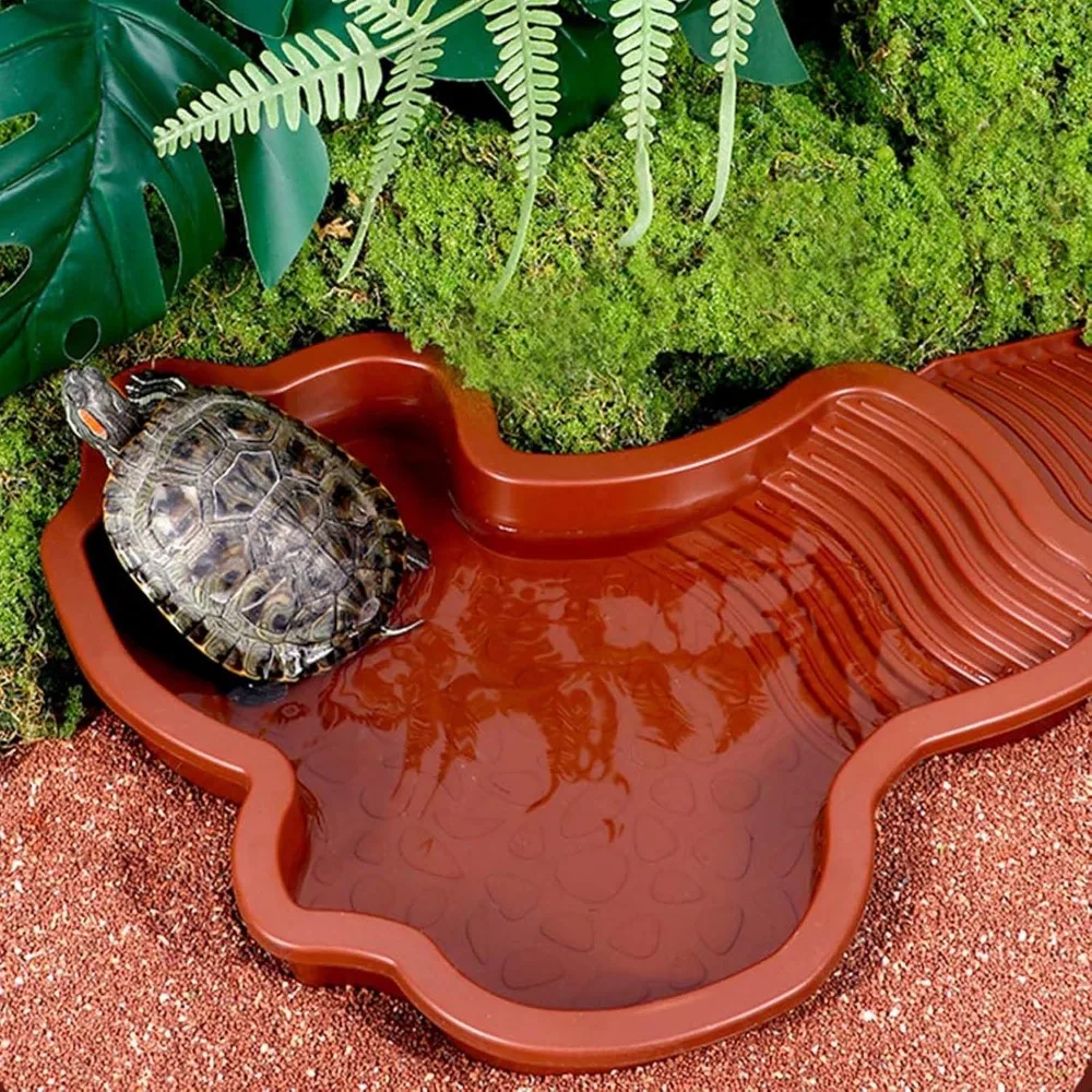 #27 Compare Reptile Water Bowls Before You Buy