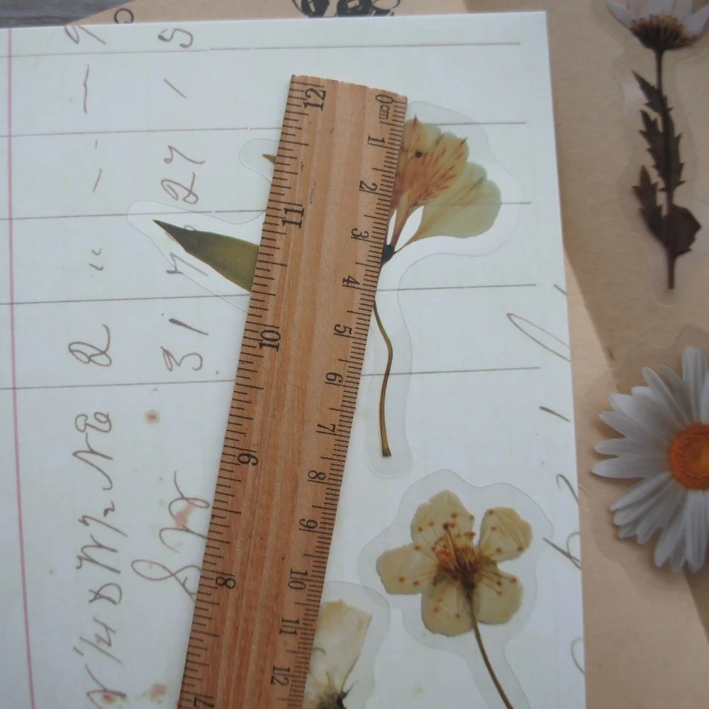 10pcs Big Size White Daisy Flower Style PVC Transparent Sticker Scrapbooking DIY Gift Decoration Tag view 2