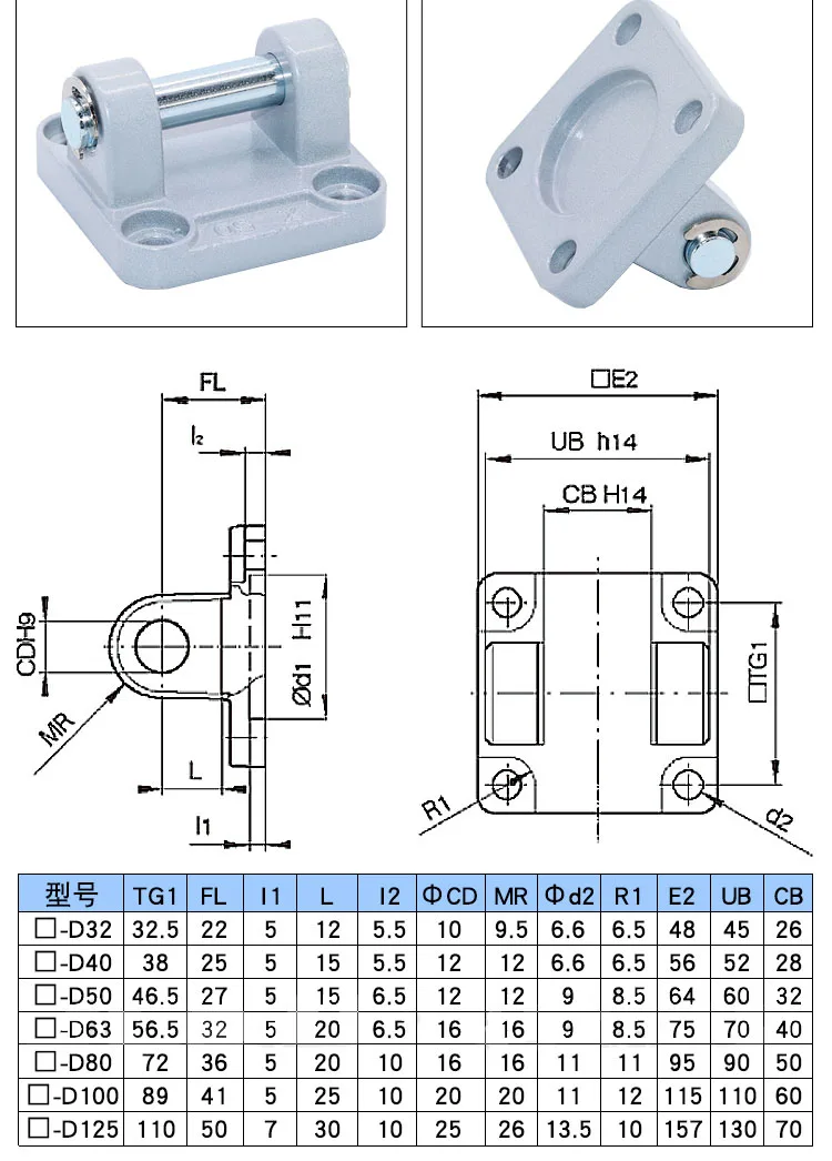 CP96/DNC/SE/SI/SAI Zylinder Einzel- oder Doppelohr-Basissatz CA/CB/CR-32/40/50/63/80 – Detail 4