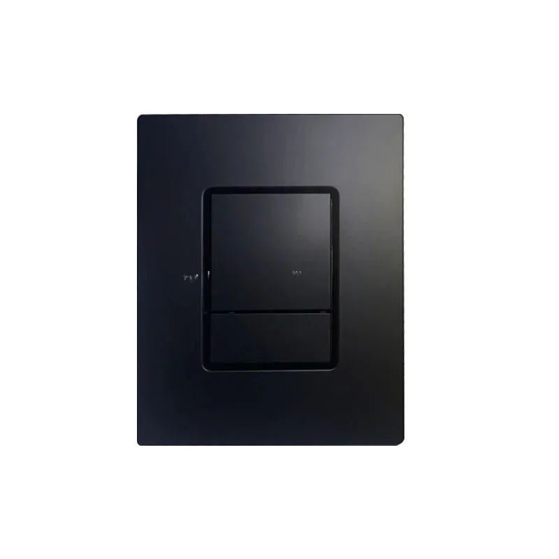 Wall Mounted ABS Plastic Dual Flush Plate Push Panel Button Matte Black 38732 Skate Plate