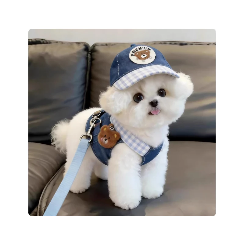 

2026 New Cute Cowboy Dog Clothes with Chest And Back Suit Sunshade Hat Puppy Outfit Special Dog Walking Rope Included