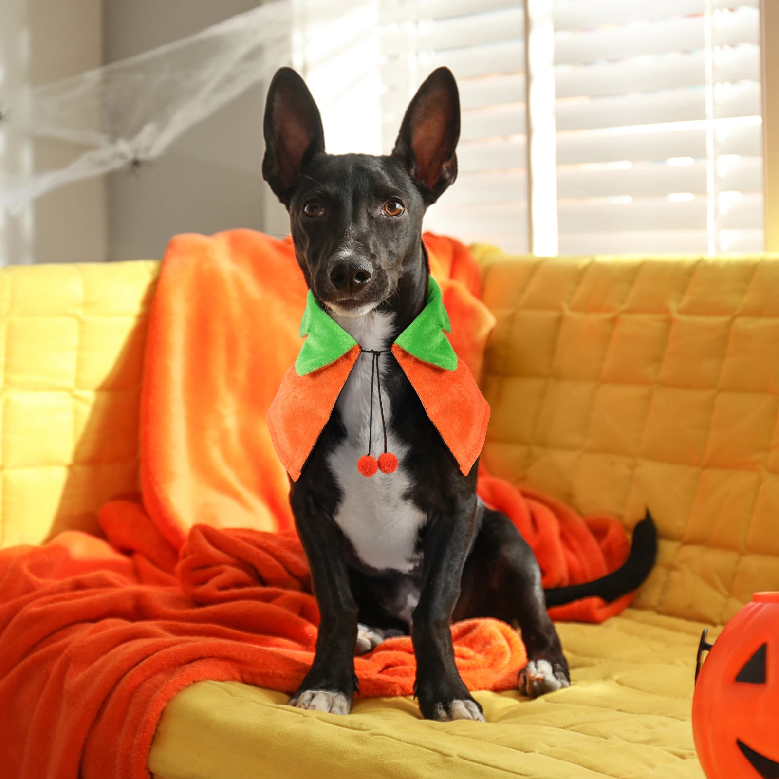

Dog Cloak Halloween Pet Festival Costume Decoration The Cosplay Cape Short Child Has