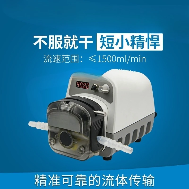 Peristaltic Pump Small Food Grade Circulating Large Flow Pump Laboratory