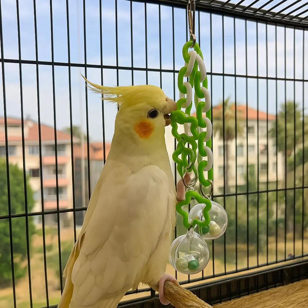 Bite Resistant Parrot Hanging Ball Transparent Ball with Bells Bird Chewing Colorful Bird Birdcage Climbing Ladder Interactive