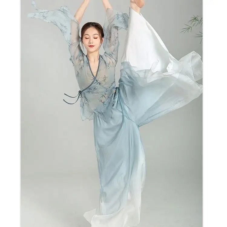 

Classical Dance Costumes Elegant Body Charm Elegant Chiffon Dress Elegant Chinese Dance Jacket Dress Performance Dress Dress