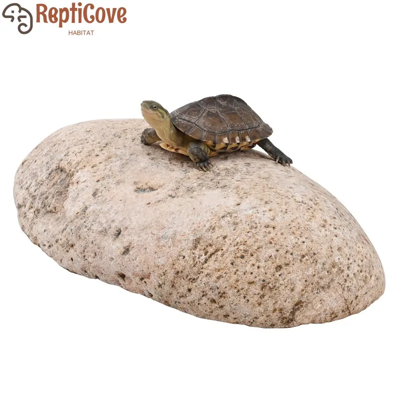 Natural Stone And P…