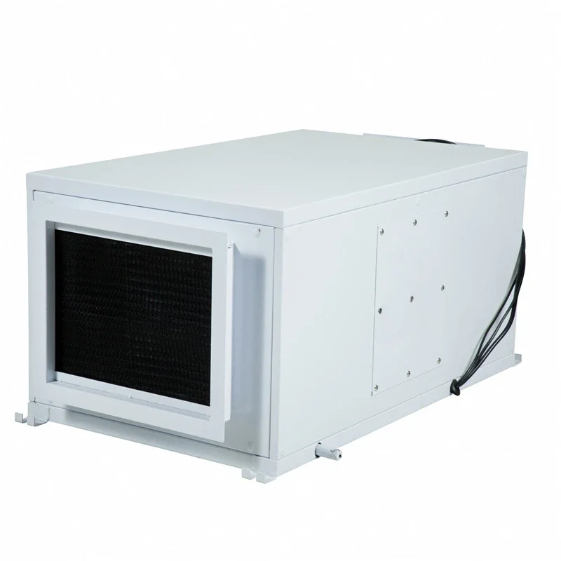 Wholesale Ceiling Dehumidifier 138L Dehumidifier Ducted for Swimming Pool with R410a