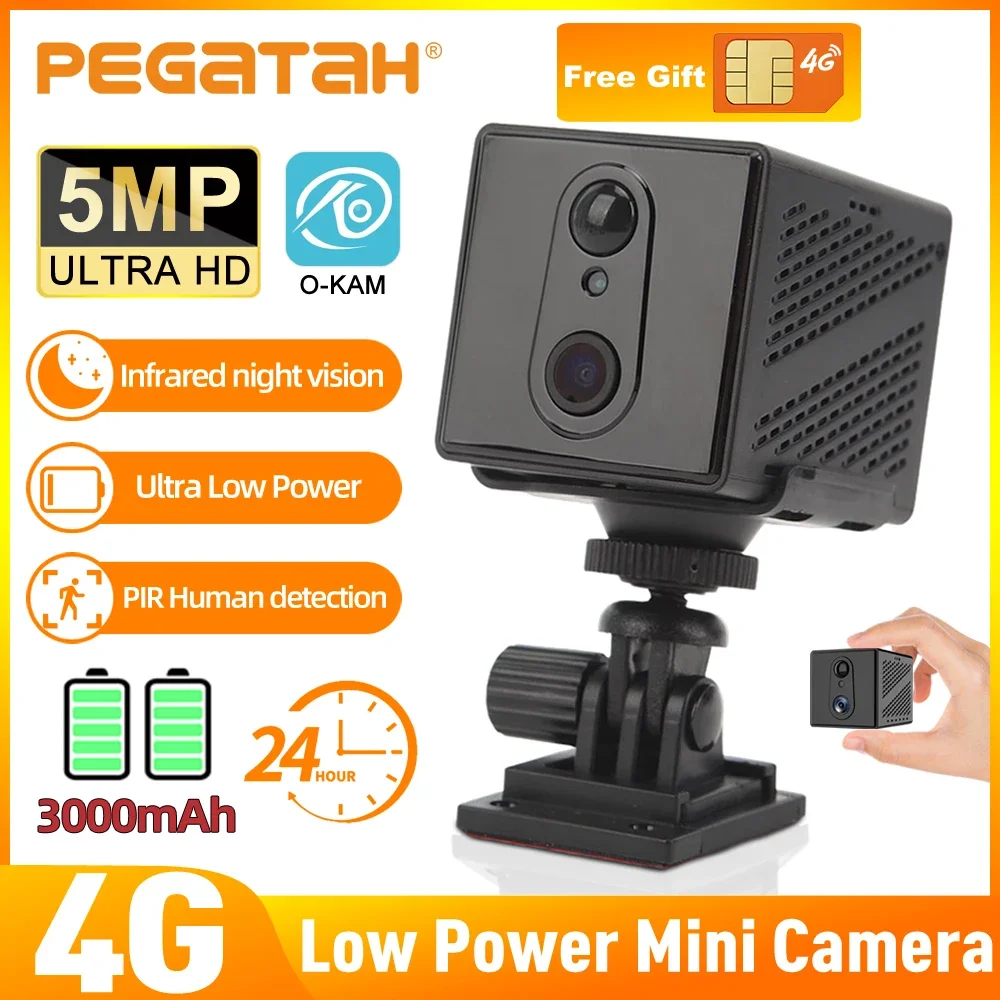 

PEGATAH 5MP 4G Mini Camera Indoor IR Night Vision Human Detection Rechargeable 3000mAh Low Power Security Monitoring for Home