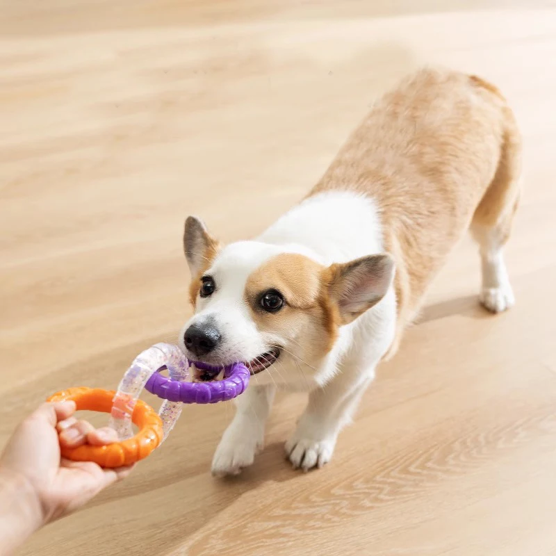 Dog Chew Toy TPR Teeth Cleaning Pet Toys For Small Medium Large Dogs Interactive Bite Resistant 3 Ring Tug Dog Toy Pet Supplies